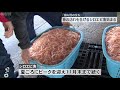 【富山湾の宝石】春の訪れ告げるシロエビ初水揚げ