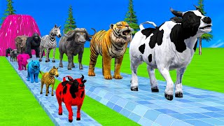 Paint \u0026 Animals Cow,Monkey,Tiger,Buffalo,Elephant Fountain Crossing Transformation Animal Cartoon