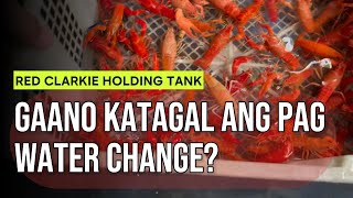 WATER CHANGE GANO KA TAGAL NGA BA?