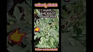 Important _health_care_tips_in_kannada.ಜಂತು ಹುಳು ನಿವಾರಣೆಗೆ👈#shortsfeed ಬಳಸುವ ವಿಧಾನ:-Discription box