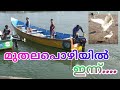 മുതലപൊഴി /Muthalapozhi /fishing /harbour