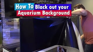 DIY Black Aquarium Background - How to Vinyl your Glass Tank!