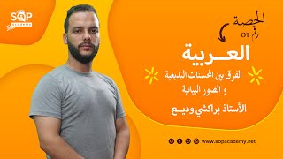 الفرق بين المحسنات البديعية و الصور البيانية مع الأستاذ وديع براكشي