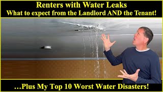 Renters with Water Leaks-What to expect from Landlords AND Tenants! Plus my Top 10. Dadogram 18