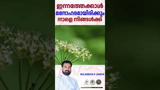 ഇന്നത്തേക്കാൾ മനോഹരമായിരിക്കും നാളെ നിങ്ങൾക്ക്   |  😇  | Rev. Aneesh P Joseph | #shorts #motivation