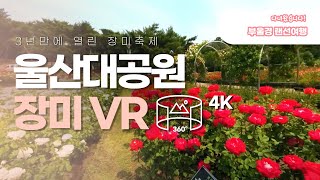 [부울경 진짜 랜선여행] VR로 떠나는 울산, 장미 축제와 울산대공원을 한눈에 (4K)