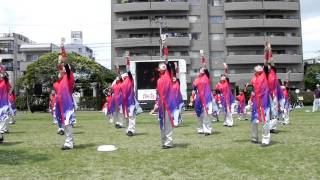 踊りゃん祭さん（R）／湘南よさこい祭り2011