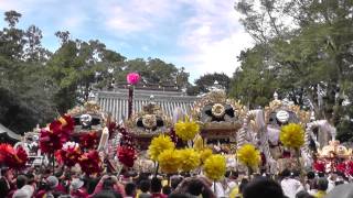 溝口秋祭り正八幡神社4台練り 溝口-大澤-御立-八幡