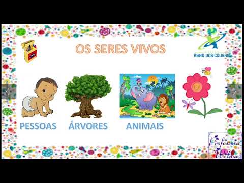 SERES VIVOS E O CICLO DE VIDA @reinodoscolibris5906 - YouTube