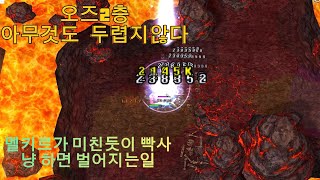 라그나로크 제로 워록- 오즈2층 솔플사냥 자폭(?)그게뭔데