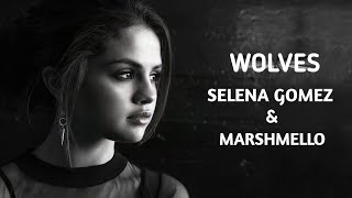 Wolves || Selena Gomez || WhatsApp status || Lyrics song || English song ||trending