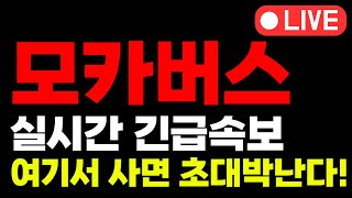 [모카버스 코인전망]🔴속보🔴개미 싹 털리고 \