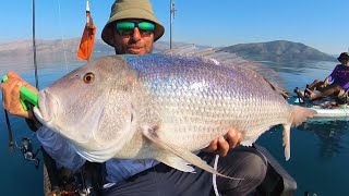 💥8КГ СИНЕГРИДА 🔥С ЛАЙТ🎣🇬🇷