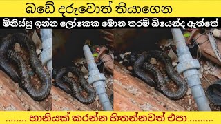 බලන්නකෝ ඒ අම්මා අන්තිමේදී සැගවිලා හිටපු තැන . මොනතරම් අසරණ ඇත්ද