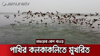 ঘোপ বাওড়কে ঘিরে মোহম্মদপুরে পর্যটন কেন্দ্রের সম্ভাবনা | Magura Mesmerising Birds