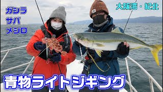 メジロ・ブリ・大サバ連発!!　大阪湾のライトジギング【ガッ釣り関西135】