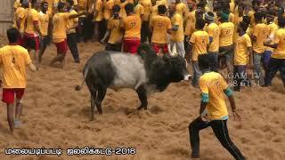 malaiyadipatty jallikattu 2018 part 1-6