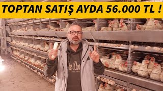 1000 TAVUK AYDA KAÇ PARA KAZANDIRIR ? MALİYETİ VE AYLIK KAZANCI