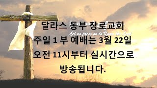 달라스 동부장로교회 3월 22일 1부 예배