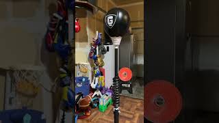 💵⚡️GRODEX Cobra Reflex Punching Bag 2***