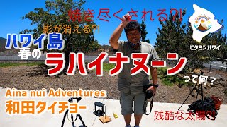 ラハイナヌーンって何？焼き尽くされる？影が消える不思議現象？残酷な太陽？