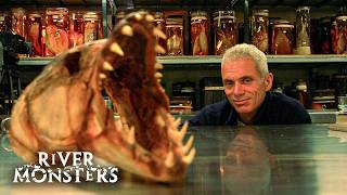 HORROR Stories about the SCARIEST River Monsters (Part 1)