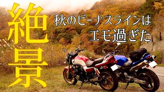 【ビーナスライン】紅葉の絶景！秋の味覚ツーリング【モトブログ】