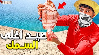 تحدي صيد :  أنذر و أغلى🇲🇦 أسماك🦈 في السوق  🤑  لن تتوقع حصيلة مجنونة 😱🌪️