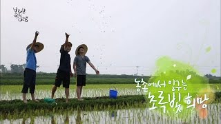 [브라보 멋진인생84-1] 농촌에서 일구는 초록빛 희망 (발아현미 미실란)