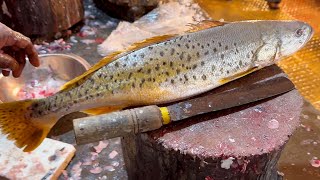 Incredible Cutting Skills | Big Poa Fish Cutting Skills In Fish Market