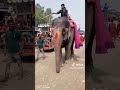 jai mata ji matarani short video