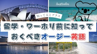 【知ってるとプラス】🇦🇺留学・ワーホリ前に知っておくべきオージースラング