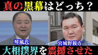 【大相撲】大相撲界の黒幕⁉ 琴風氏と宮城野親方の裏の顔を暴く！派閥争いが力士を苦しめる⁉ 大相撲界の知られざる裏側！