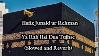 Ya Rab Hai Dua Tujhse - (Slowed and Reverb) - Hafiz Junaid ur Rehman