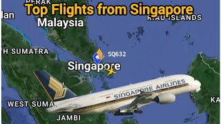 Exploring Singapore's Most Popular Air Routes