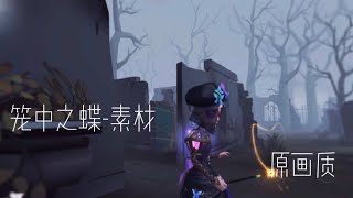 【第五人格】籠中之蝶-素材(原畫質）