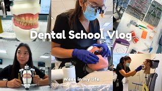 Life as a D2 dental student