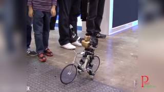 Amazing Bike Riding Robot! Can Cycle, Balance, Steer, and Correct Itself