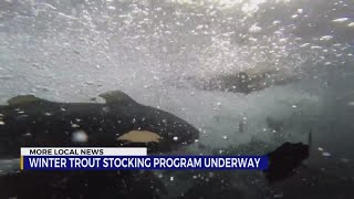 TWRA's winter trout stocking program underway