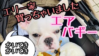 【フレブル/子犬】散歩の途中で寝落ちするエリーにエアバギーを購入！