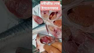 Ilish mas #shortvideo #vairalshort #hadis #ytshorts