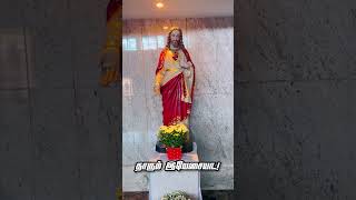 ஆண்டவரே தாவீதின் திருமகனே..! #jesussongs #hailmary #avemaria_sdlc#avemaria156 #youtubeshorts #shorts