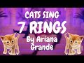 Cats Sing 7 Rings by Ariana Grande | Cats Singing Song