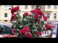 馬里布 斯洛維尼亞 奧地利高速公路美景austria freeway maribor slovenia full hd1080p