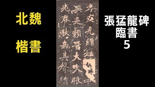 서예 장맹룡비 5 張猛龍碑 5 북위 해서 書道 書法 calligraphy