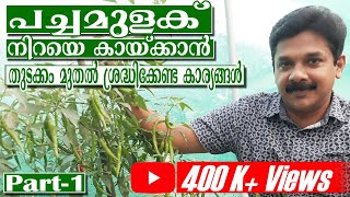 പച്ചമുളകിൽ ധാരാളം കായ്കൾ പിടിക്കാൻ തുടക്കം മുതൽ ശ്രദ്ധിക്കേണ്ട കാര്യങ്ങൾ | Green Chilly Farming