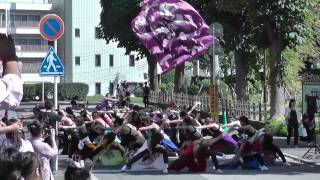 関八連さん　 彩の国よさこい鳴子踊り交流会2014