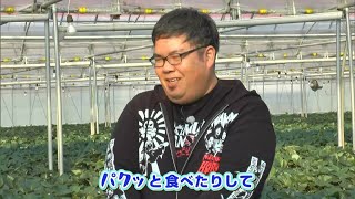 「イチゴの仕事を手伝ったのがきっかけ」父親から引き継いだイチゴ農園に情熱を注ぐ男性｜【笑味ちゃん天気予報】2025年1月27日放送