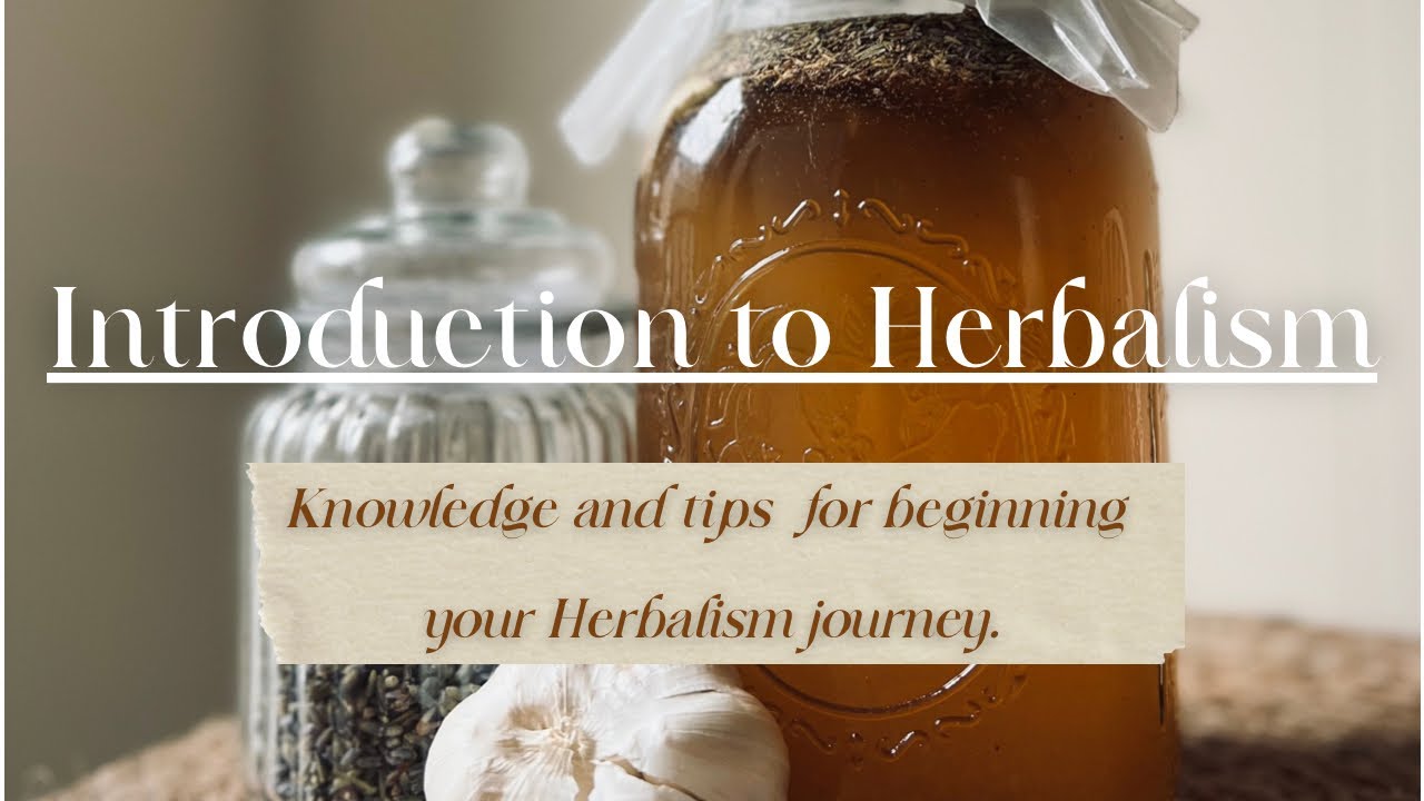 Introduction To Herbalism || Becoming An Herbalist - YouTube