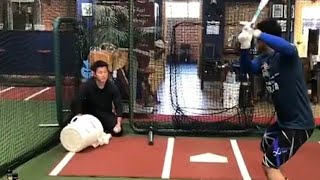 ティーバッティングをする根尾昴